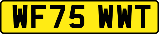 WF75WWT