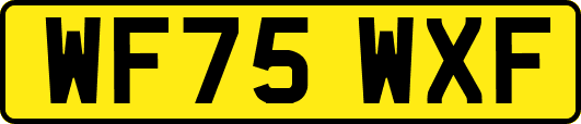 WF75WXF