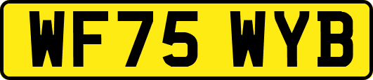 WF75WYB