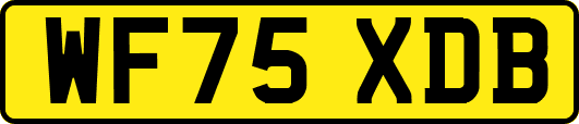 WF75XDB