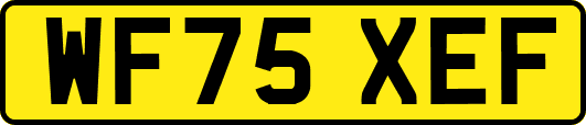 WF75XEF