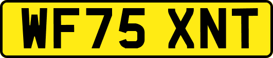 WF75XNT