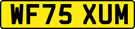 WF75XUM