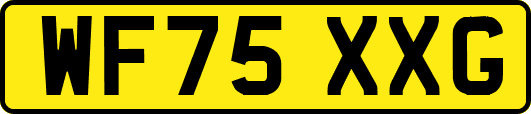 WF75XXG