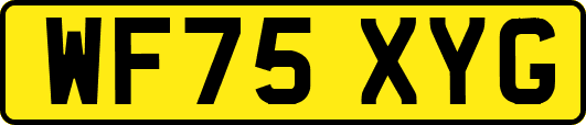 WF75XYG