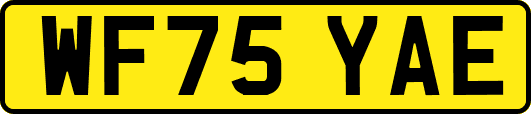 WF75YAE