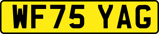 WF75YAG