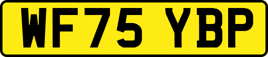 WF75YBP