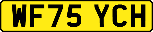 WF75YCH