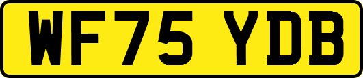WF75YDB