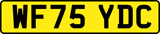 WF75YDC