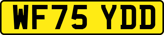 WF75YDD