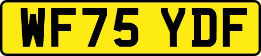 WF75YDF