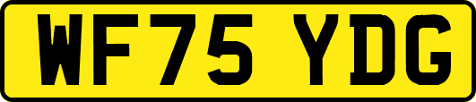 WF75YDG