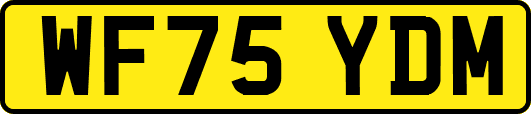 WF75YDM