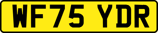 WF75YDR