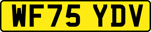 WF75YDV