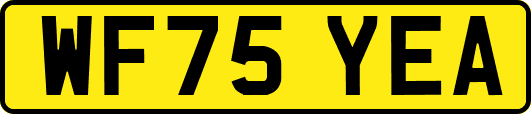 WF75YEA