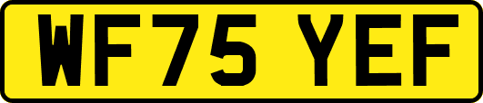 WF75YEF