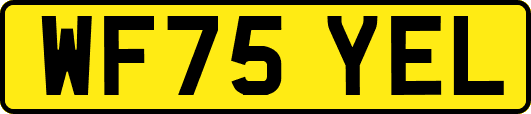 WF75YEL