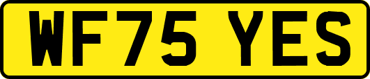 WF75YES