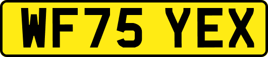 WF75YEX