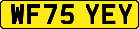 WF75YEY