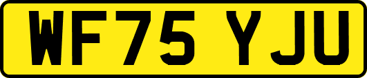 WF75YJU