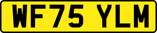 WF75YLM