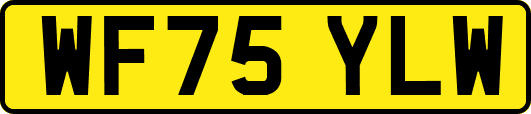 WF75YLW