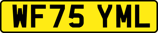 WF75YML