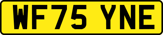 WF75YNE