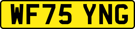 WF75YNG