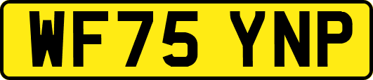 WF75YNP