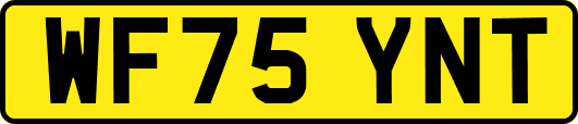 WF75YNT