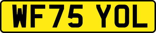 WF75YOL