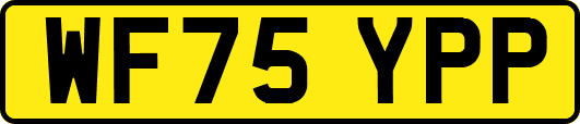 WF75YPP