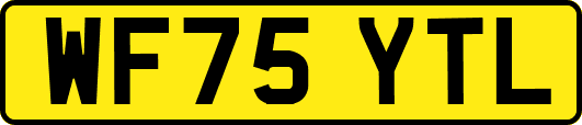WF75YTL