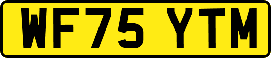 WF75YTM