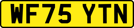 WF75YTN