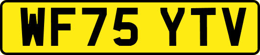WF75YTV