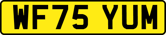 WF75YUM