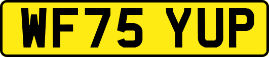 WF75YUP