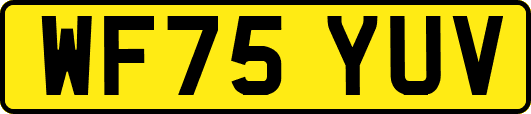 WF75YUV