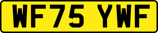 WF75YWF