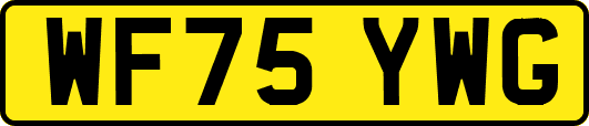 WF75YWG