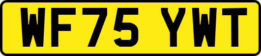 WF75YWT