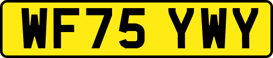 WF75YWY