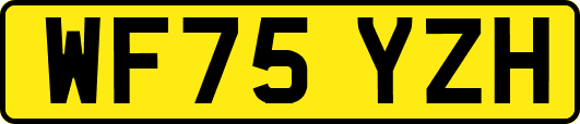 WF75YZH