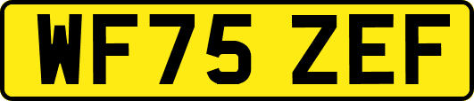 WF75ZEF